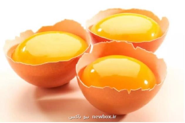 تولید تخم مرغ های حاوی اسیدفولیک با قابلیت جذب ۹۵ درصدی در بدن